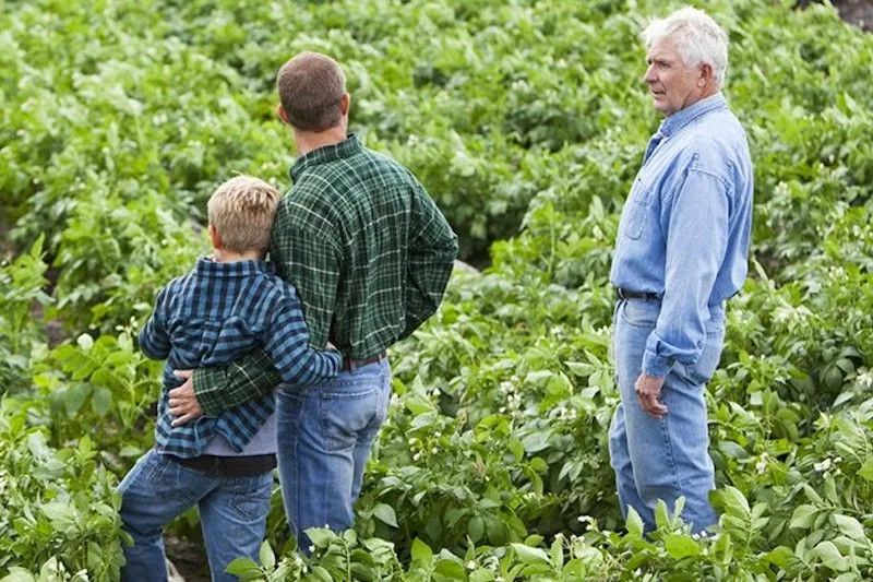 Familiebedrijf Advies