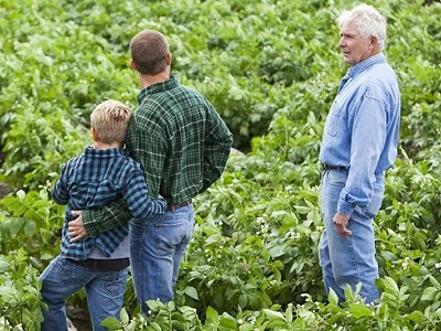 Familiebedrijven: handelen of wandelen?